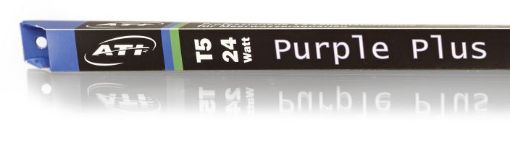 圖片 ATI Purple plus - 24W